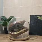 Apartman Le Sherlock - Balcon - Original - Wifi Le Mans